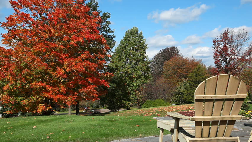 Fall scenic on a windy day