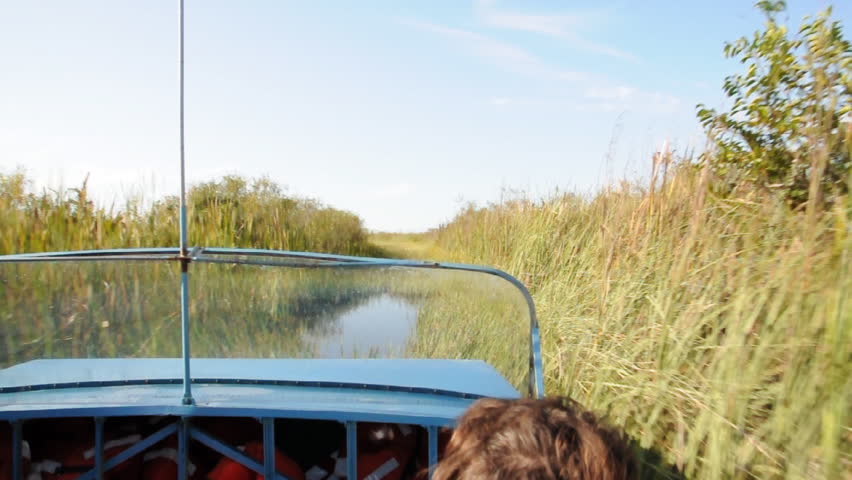 Ride with an airboat through the Everglades, Florida