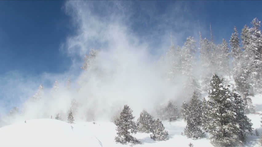 Snow Blows Through Trees On Windy, Winter Day. 1920x1080 Stock Footage ...