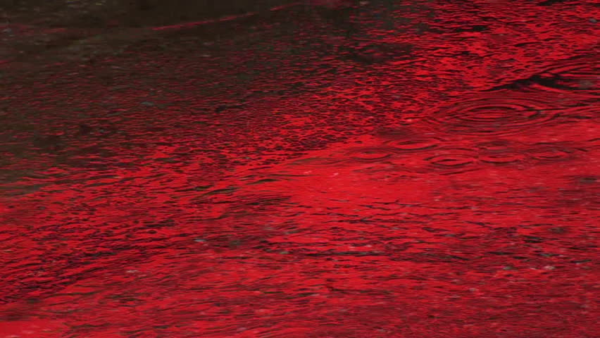 Refections and cars travel through a puddle