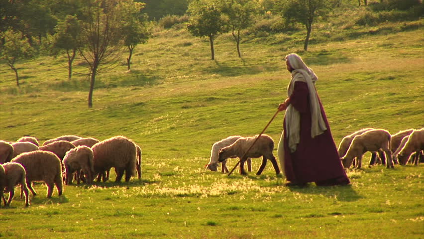Psalm 23. Jesus The Good Shepherd. Stock Footage Video 