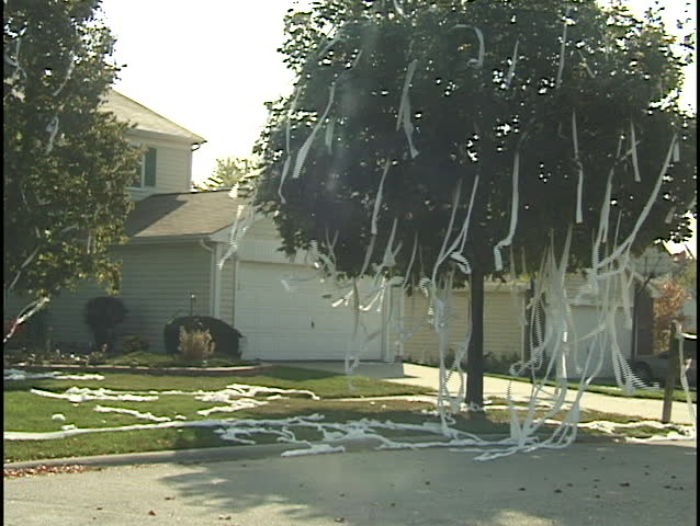 Suburban House with Toilet Paper