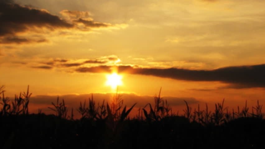 Sunset over field, HD time lapse clip