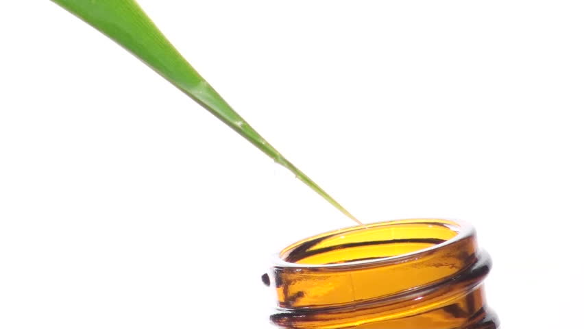 Herbal essence drips in glass bottle isolated against white