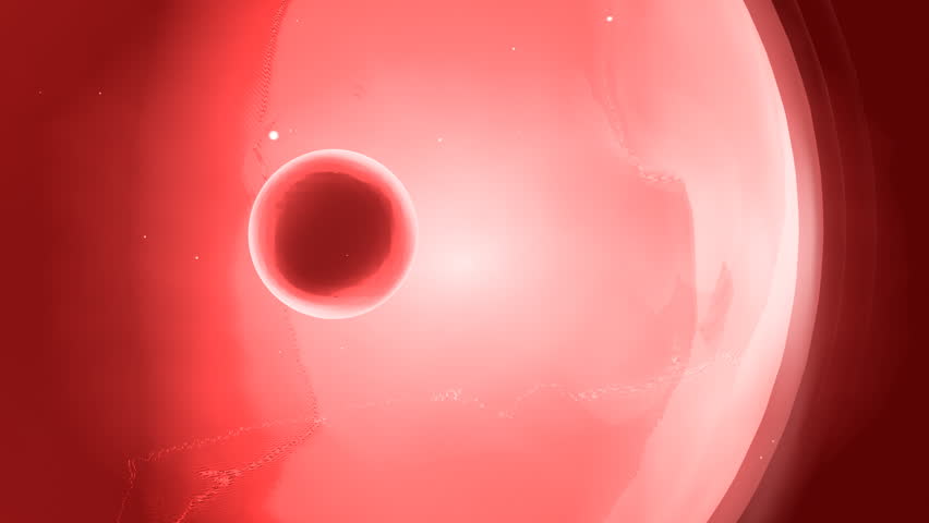 Cells and nucleus multiplied