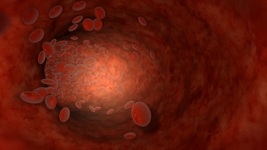 Blood cell inside human pulsing vein,flow obstruction