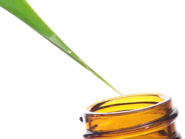 Herbal essence in bottle close-up V1 - NTSC