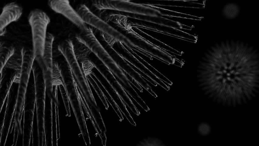 Moving micro-organism, virus, under the microscope. Microcosm.
