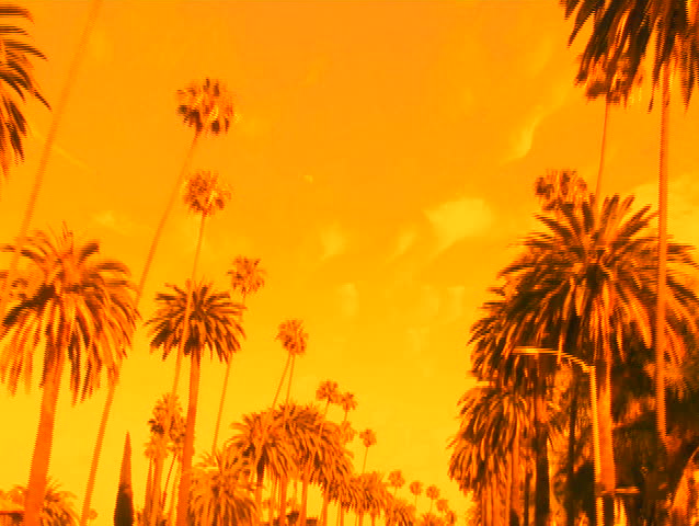 Beverly Hills palm trees at sunset driving shot V3 - NTSC