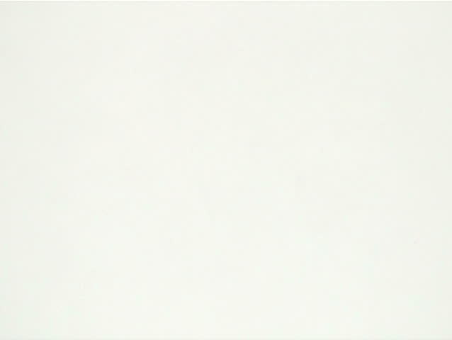 Penny spinning against white background - NTSC
