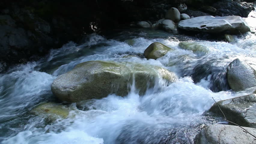forest stream