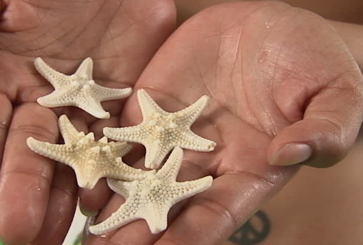 Slow motion - pretty latina hands holding shells