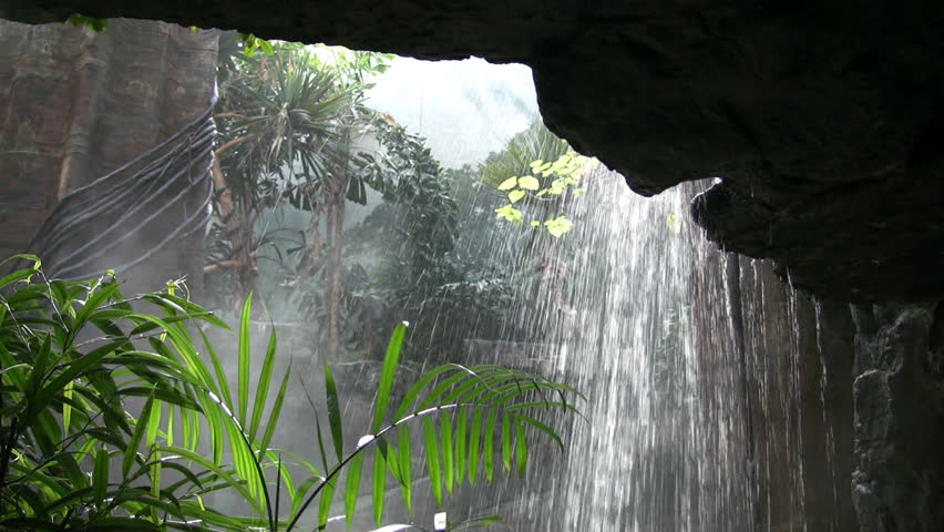 Rain Falling In The Amazon Rainforest, Ecuador Stock Footage Video