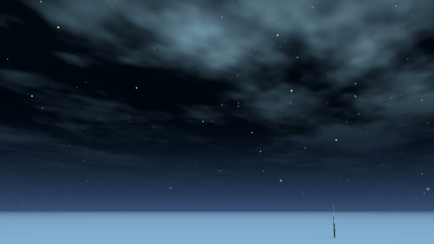 a dead tree grows in the stellar night.
