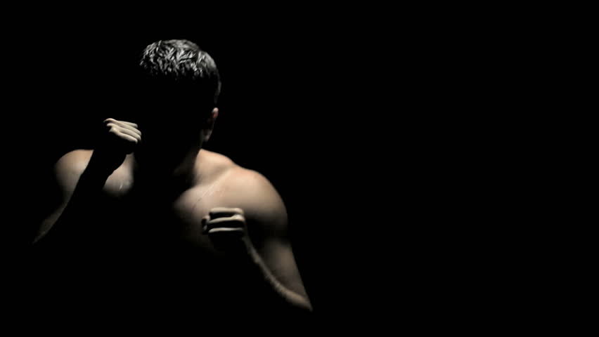 Boxer in Dark
