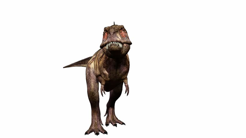 Tyrannosaurus rex the circular bite 