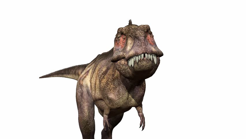 Tyrannosaurus rex the fast bite 