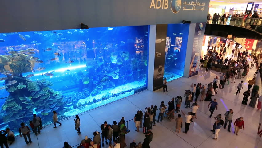 Afbeeldingsresultaat voor aquarium dubai mall