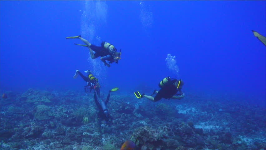 Swimming off a coral reef