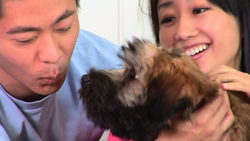 Young Asian couple holding puppy and laughing