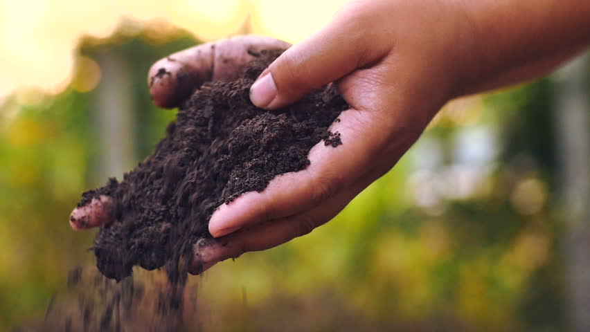 Vermicompost Stock Footage Video | Shutterstock