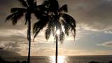 Palm Trees are silhouetted against a sunset over the ocean in Hawaii.