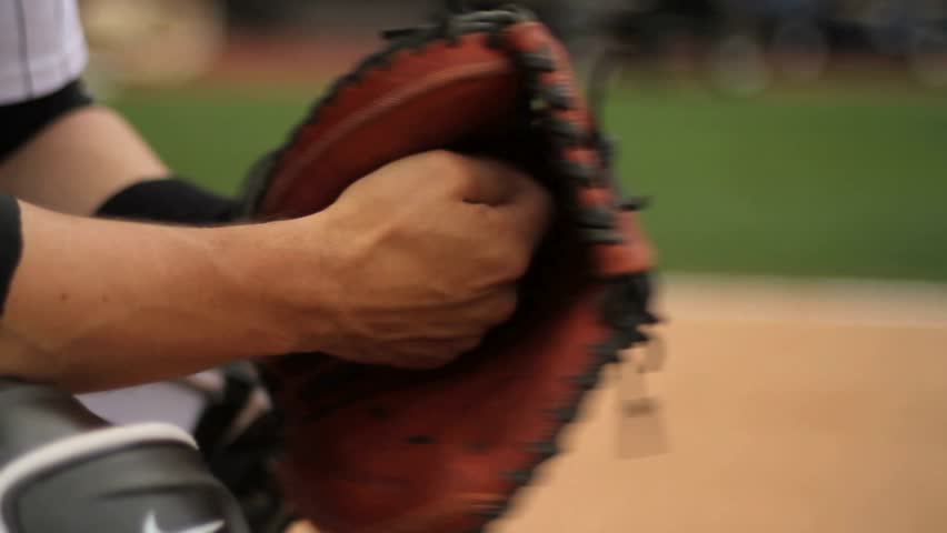 Catcher's glove
