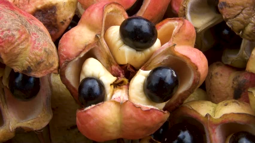Header of Ackee