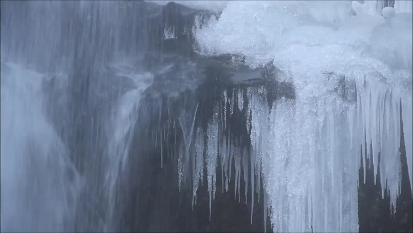 Header of icy