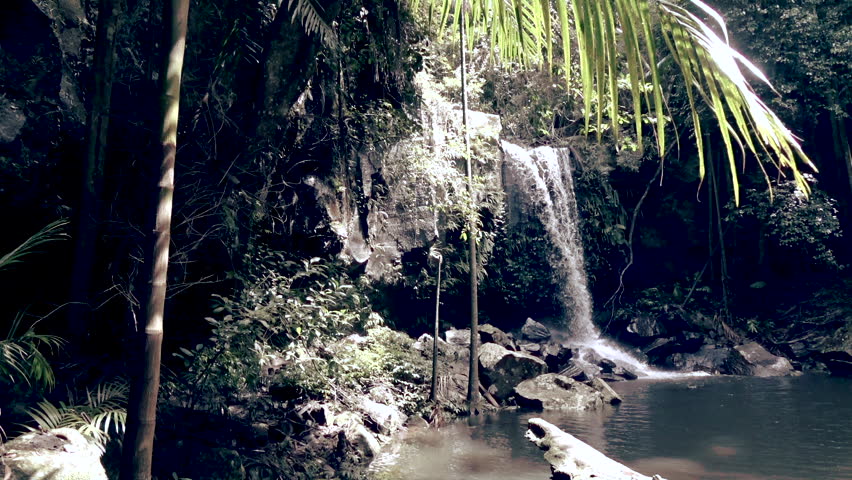 Header of Curtis
