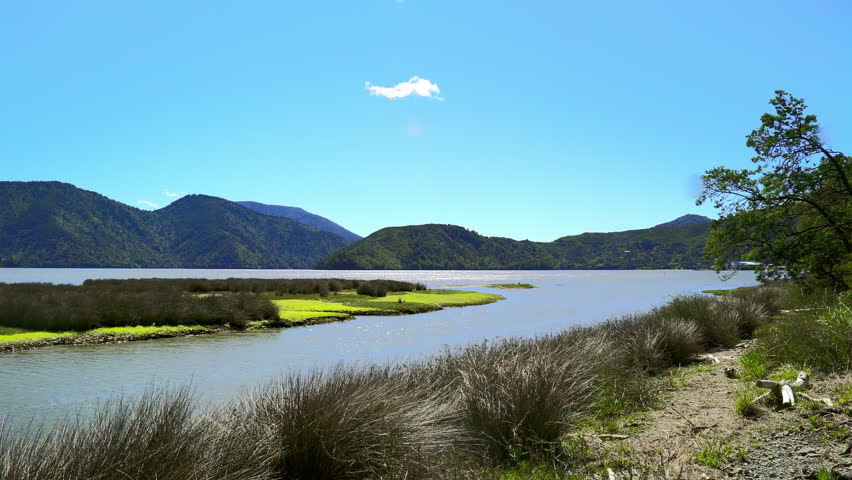 Header of havelock