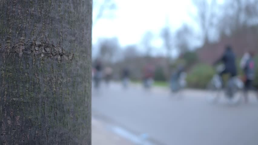 Header of untitled