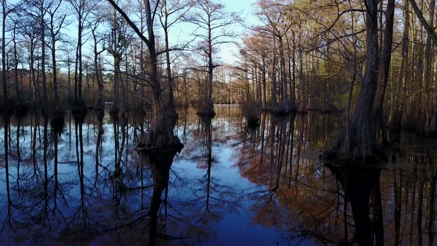 Header of millpond