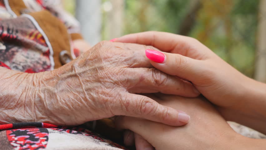 Красивые руки пожилого человека. Рука гладит пушистую шерсть. Поглаживание кошки. Рука гладит. Котика гладят.