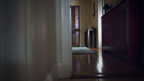 Doggie Door Stock Video Footage 4k And Hd Video Clips Shutterstock