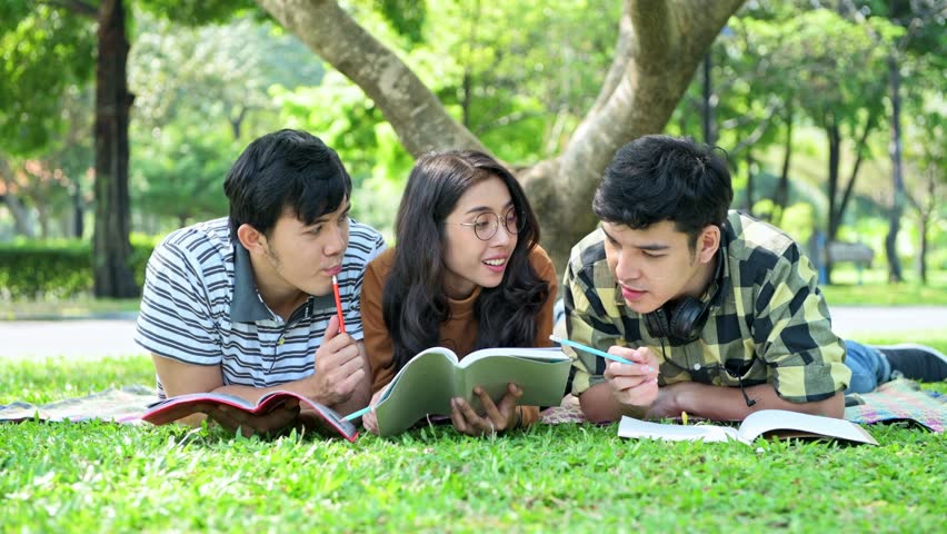 Students In Park. Study Together. Chinese Male And Female Teenagers ...