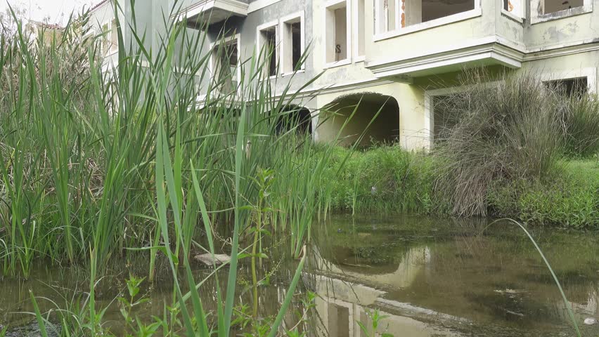 Header of bog