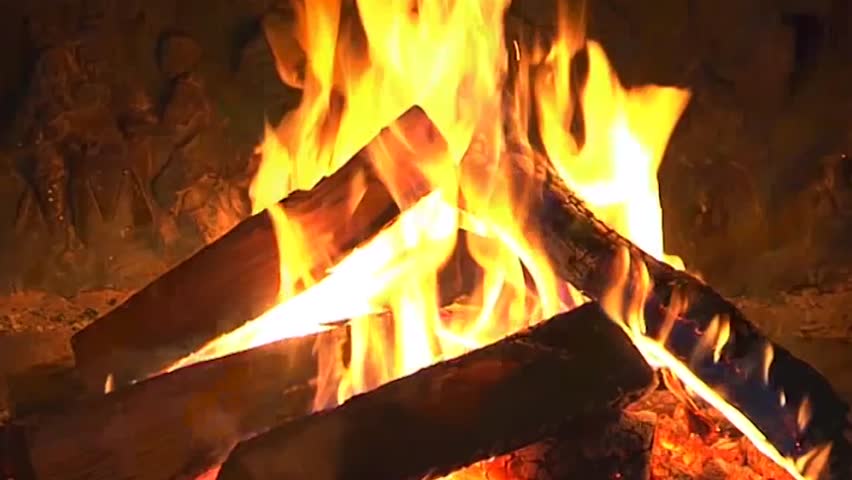 Free Chop Wood Stock Video Footage Download 4k Hd 0 Clips