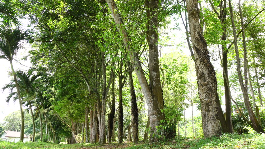 Header of agar