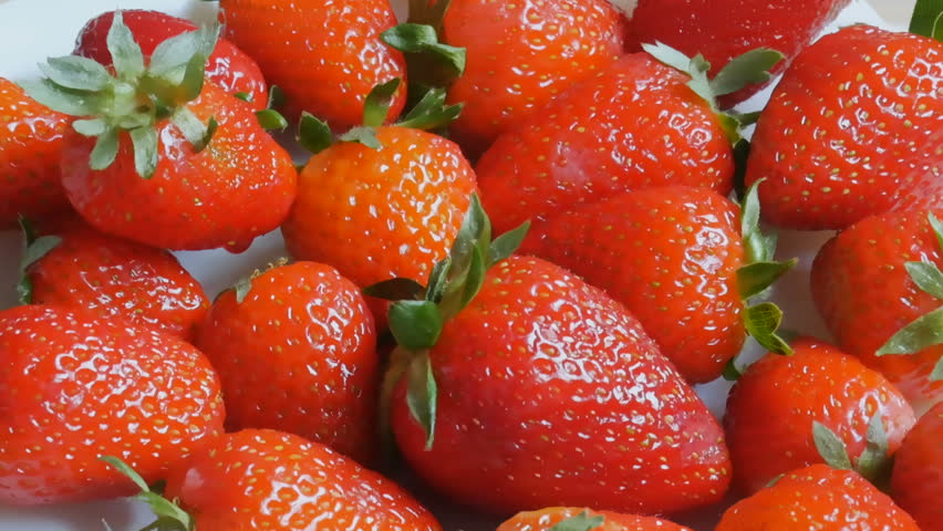 Header of testy