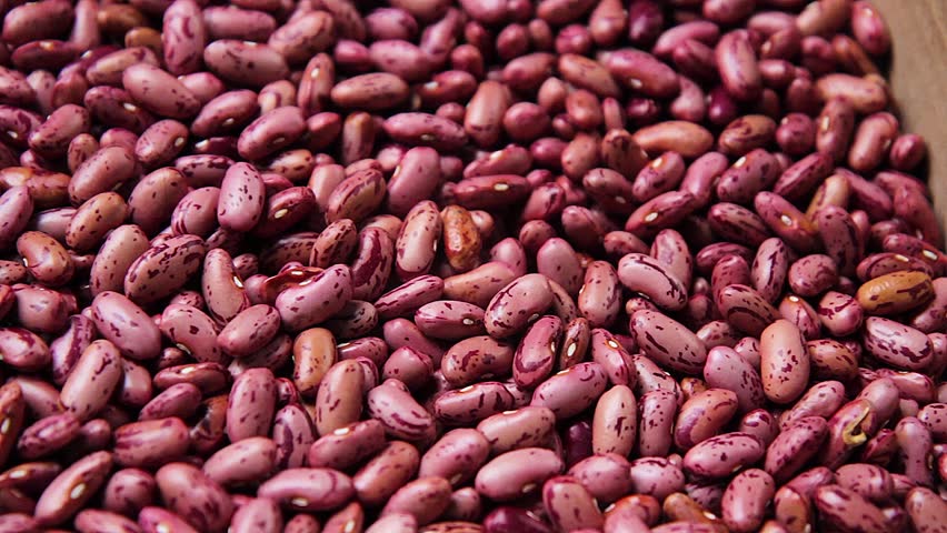 Résultats de recherche d'images pour « Beans and Lentils  free picture »