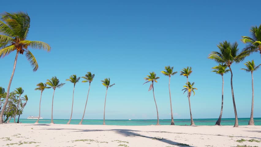 Beautiful wild island beach and palms Caribbean sea and white sand and blue sky and beach loungers. Amazing summer travel vacation beach background. Turquoise sea water and palm trees