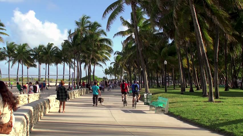 Lummus Park Stock Video Footage 4k And Hd Clips Shutterstock