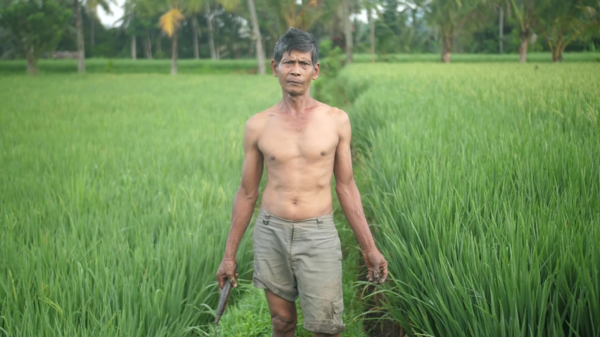 Shirtless Rice Farmer Holding a 스톡 동영상 비디오(100% 로열티프리) 1031171705 Shutterst...