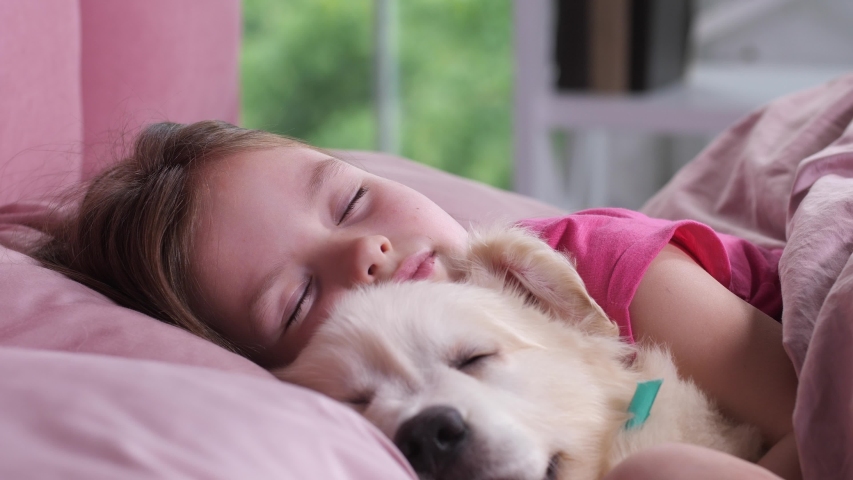 23+ Fluffy Sleeping Golden Retriever Puppy