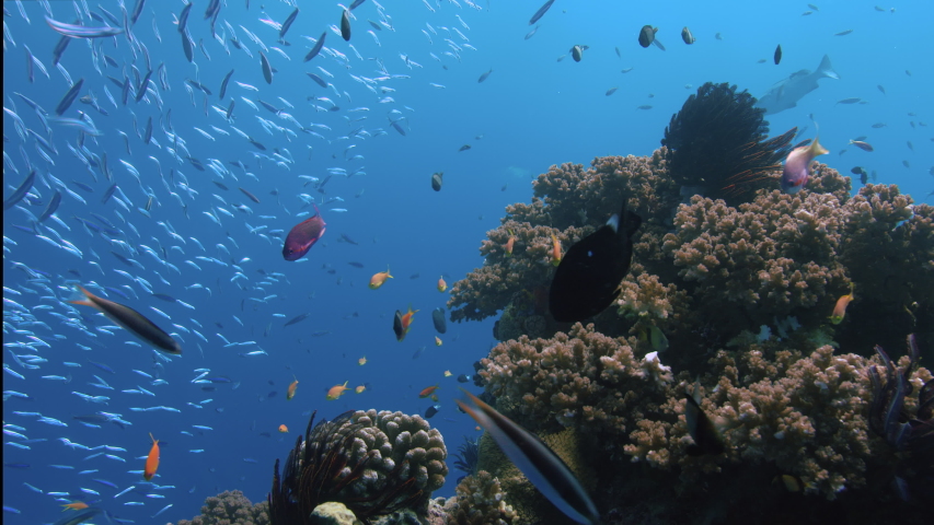 Water and ocean of the Great Barrier Reef in Queensland, Australia ...