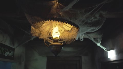 Spider Stock Video Footage 4k And Hd Video Clips Shutterstock