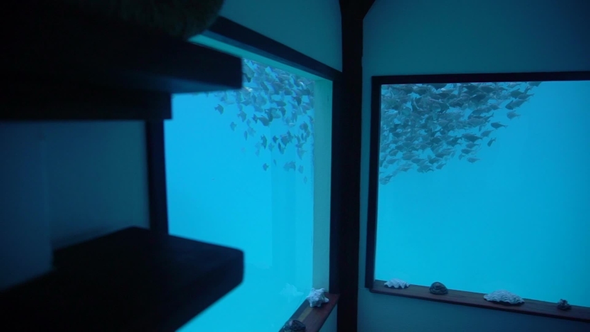 Underwater Hotel Room Stock Video Footage 4k And Hd Video Clips Shutterstock