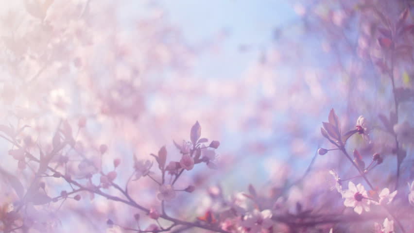 20 Perfect cute wallpaper not blurry You Can Save It free - Aesthetic Arena