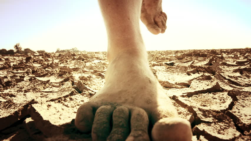 Image result for desert land walk